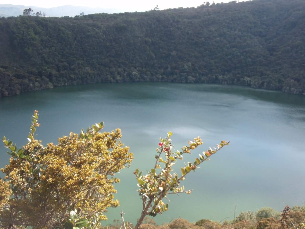 Guatavita N1