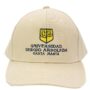 Gorra Beige