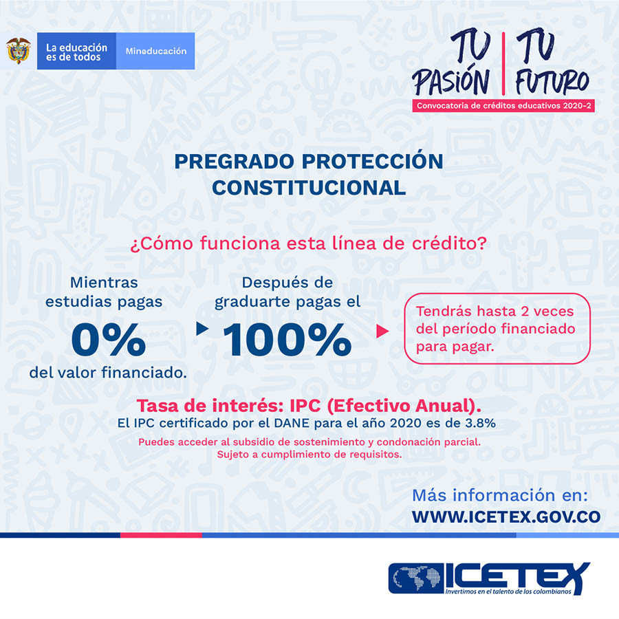 PROTECCIÓN CONSTITUCIONAL