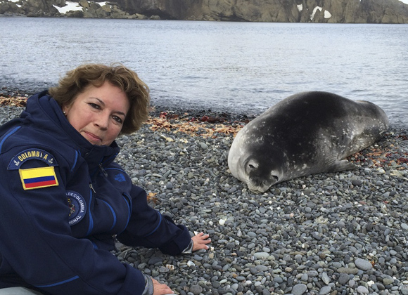 antartica-