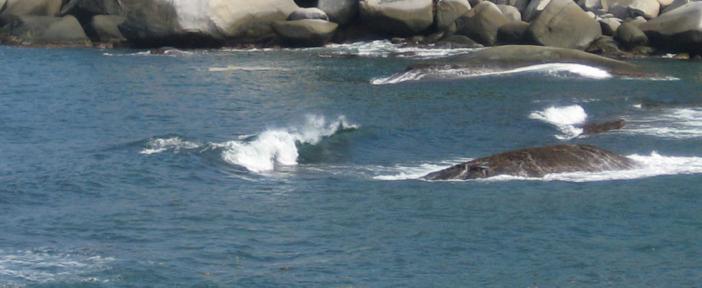 mar