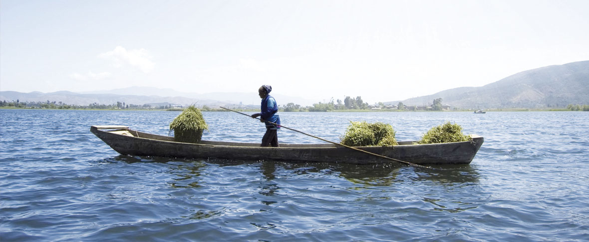 peces_pacifico_en_momento_critico