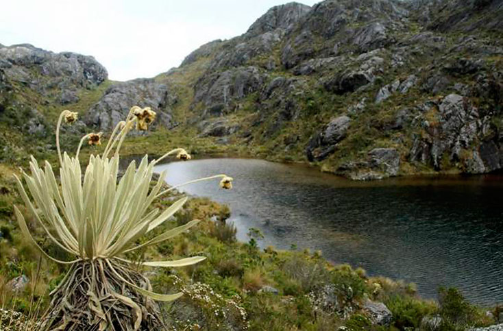 ministerio-de-ambiente-delimita-cerca-de-133-000-hectareas-de-cuatro-paramos-en-colombia