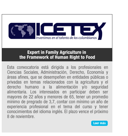 orinews-octubre-10