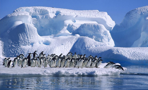 oceano-antartico-reserva-marina-mas-grande-del-mundo-jpg