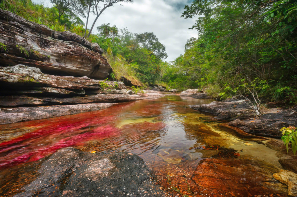 fuertes-sequias-atacan-can%cc%83o-cristales