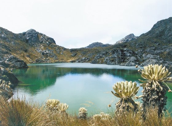 55-de-los-paramos-de-colombia-ya-estan-delimitados