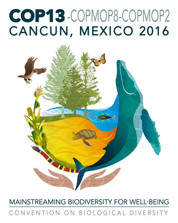 proteger-ecosistemas-y-detener-perdida-de-biodiversidad-son-los-objetivos-de-cop13