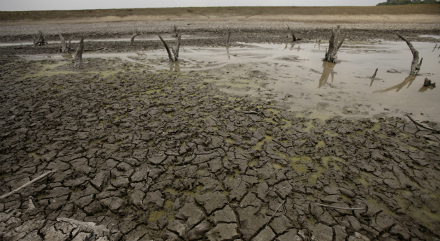 Cambio climático