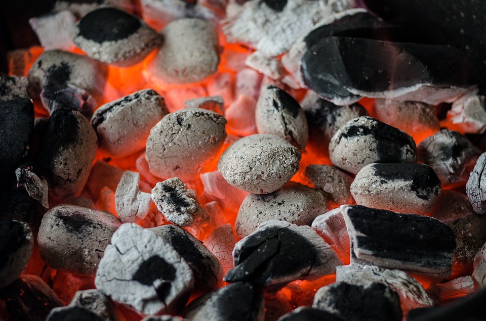 bbq-810545_960_720