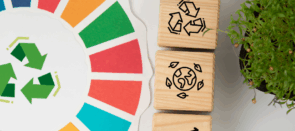 INSTITUTO DE INVESTIGACIÓN PARA LA SOSTENIBILIDAD SERGIO ARBOLEDA – IISSA