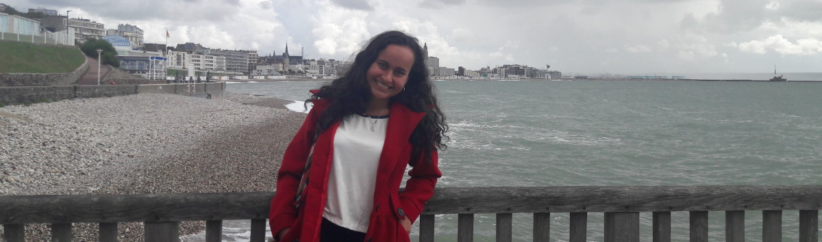 En la playa de Le Havre