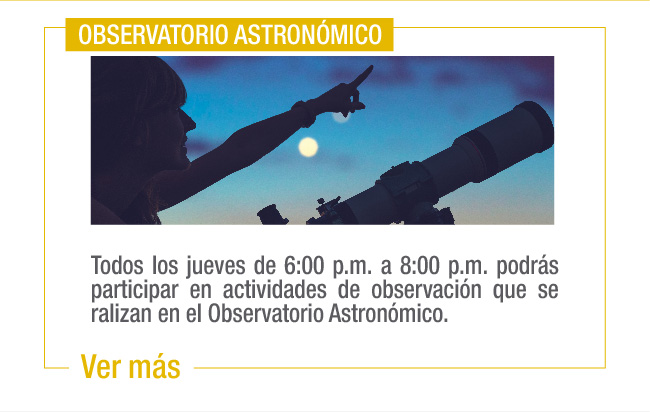 boletin-egresados-noviembre-11