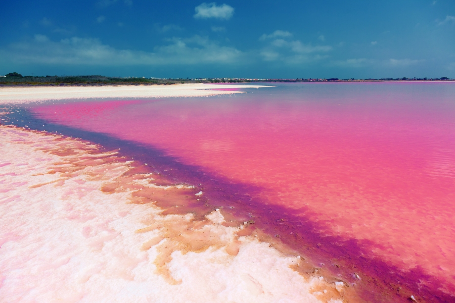 laguna-rosa-de-torre-vieja-España-internacionalizacion-paisajes