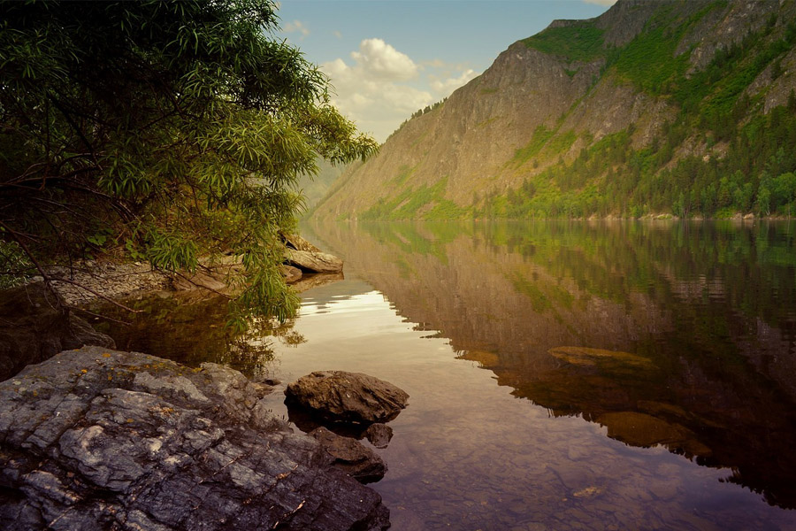 rio-cauca-ideasa-medio-ambiente-universidad-sergio-arboleda