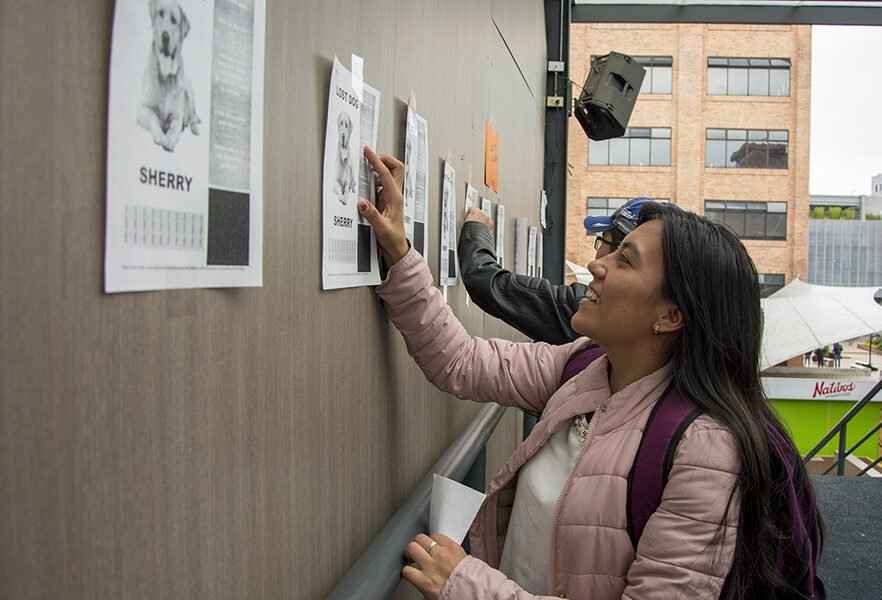 rock-and-learn-centro-de-idiomas-universidad-sergio-arboleda-6