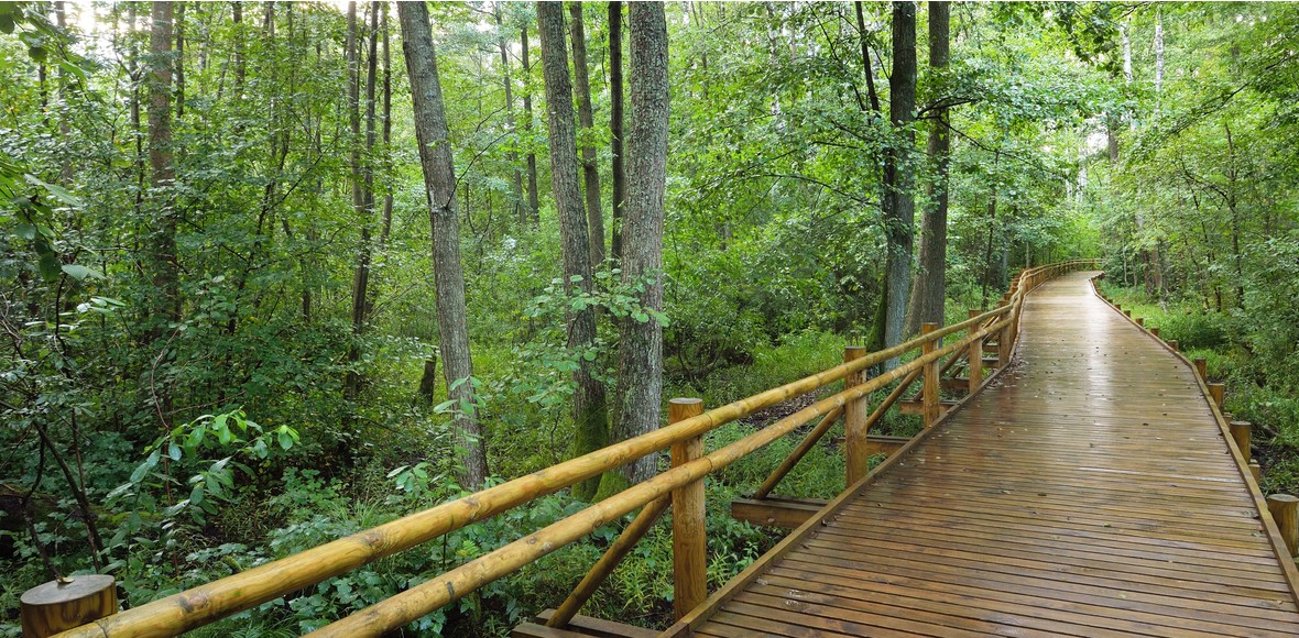 Caminatas ecológicas IDEASA observatorio ambiental Universidad Sergio Arboleda