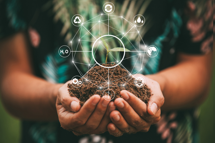 DIPLOMADO VIRTUAL | PERSPECTIVAS GLOBALES Y LOCALES PARA EL FORTALECIMIENTO E IMPLEMENTACIÓN DE LA POLÍTICA NACIONAL DE EDUCACION AMBIENTAL Y LA PROMOCIÓN DE PROYECTOS PROCEDA Y PRAE