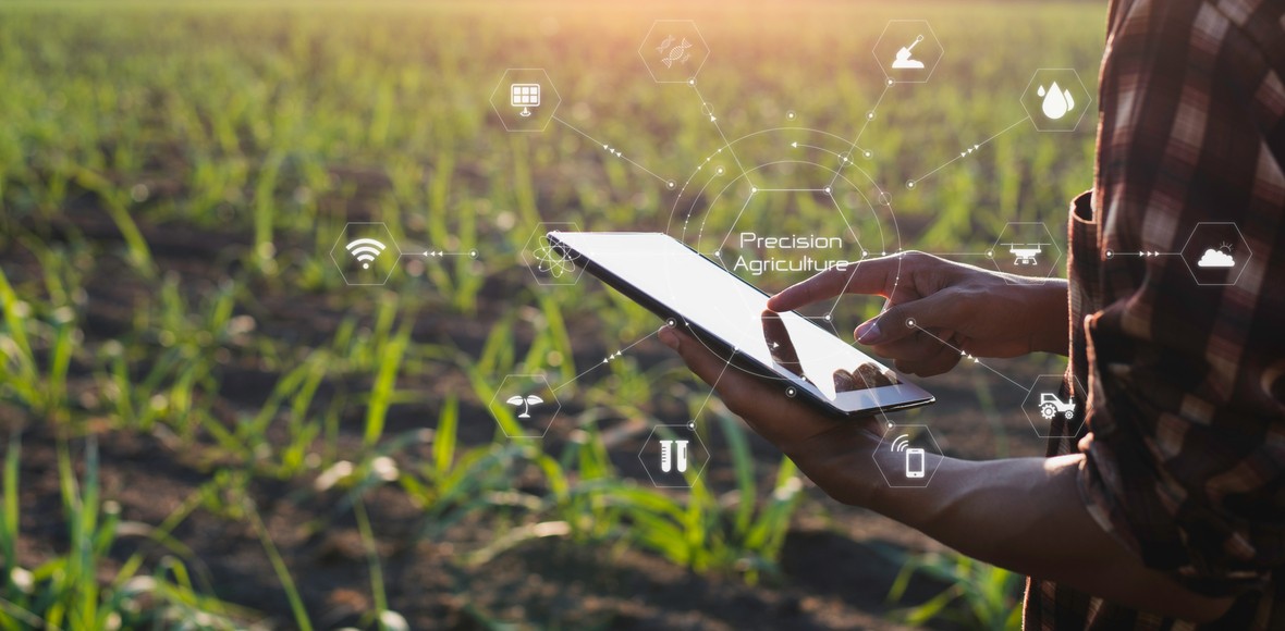 hombre utiliza tablet en un sembrado para mejorar su producción agrícola