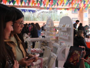 LA KERMESSE SERGISTA VOLVIÓ A BRILLAR CON EMPRENDIMIENTO, CREATIVIDAD Y TALENTO